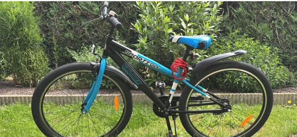 Fiets, Fietsen en Brommers, Velgrem, Zo goed als nieuw, Handrem, Ophalen