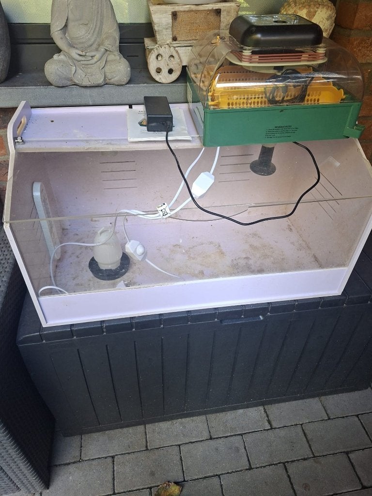 Broedkast, Dieren en Toebehoren, Ophalen, Gebruikt, Overige typen