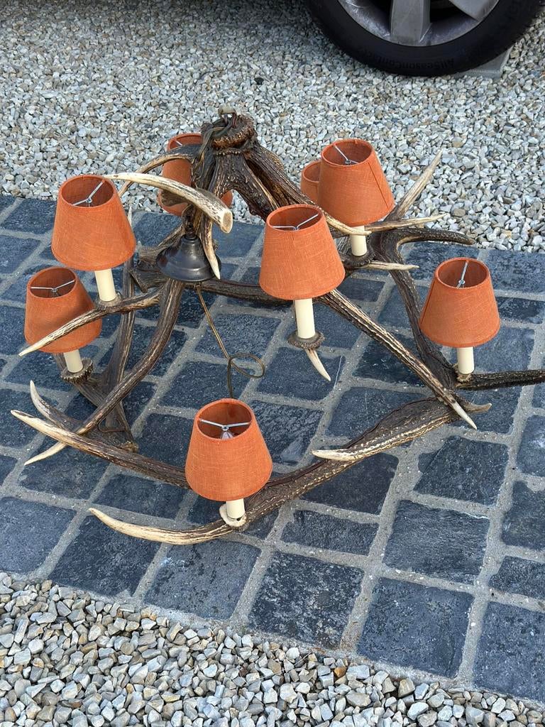 Gewei luster groot, Antiek en Kunst, Curiosa en Brocante, Ophalen
