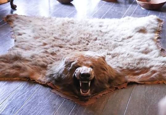 Peau d'ours avec tête, Maison & Meubles, Ameublement | Tapis & Moquettes, Enlèvement ou Envoi