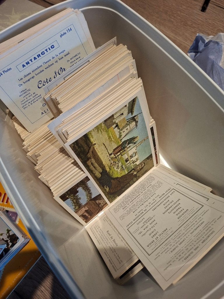 Bak met oude prenten in perfecte staat, Ophalen of Verzenden, Zo goed als nieuw, Overige onderwerpen, Prent