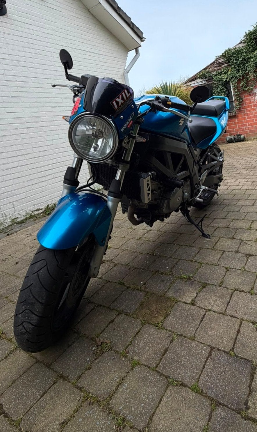 Suzuki 650SV, Motos, Motos | Suzuki, Permis Moto A, Occasion, Plus de 35 kW, Échappement sport