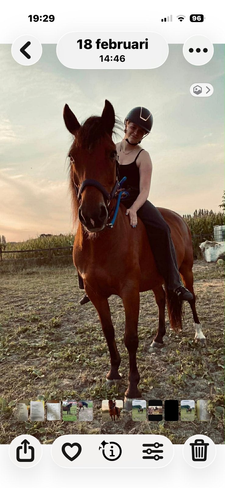 D pony, Ruin