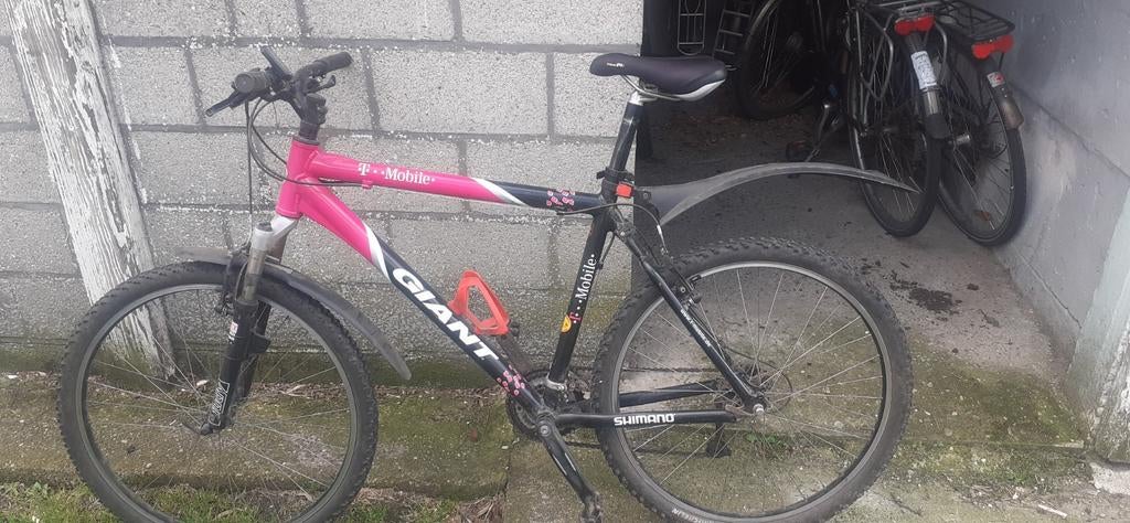 Mountainbike giant t-mobile, Enlèvement, Giant