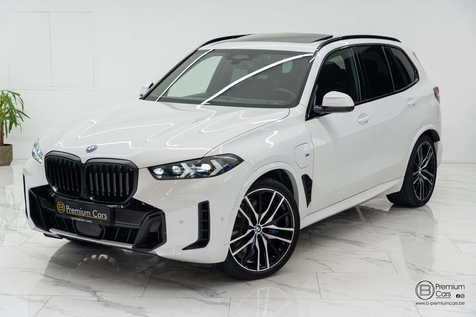 BMW X5 50e hybrid M pro pack! Pano, H&K, Acc, Hud! Sfeer!, Auto's, Automaat, Dealer onderhouden, Gebruikt, 3200 kg