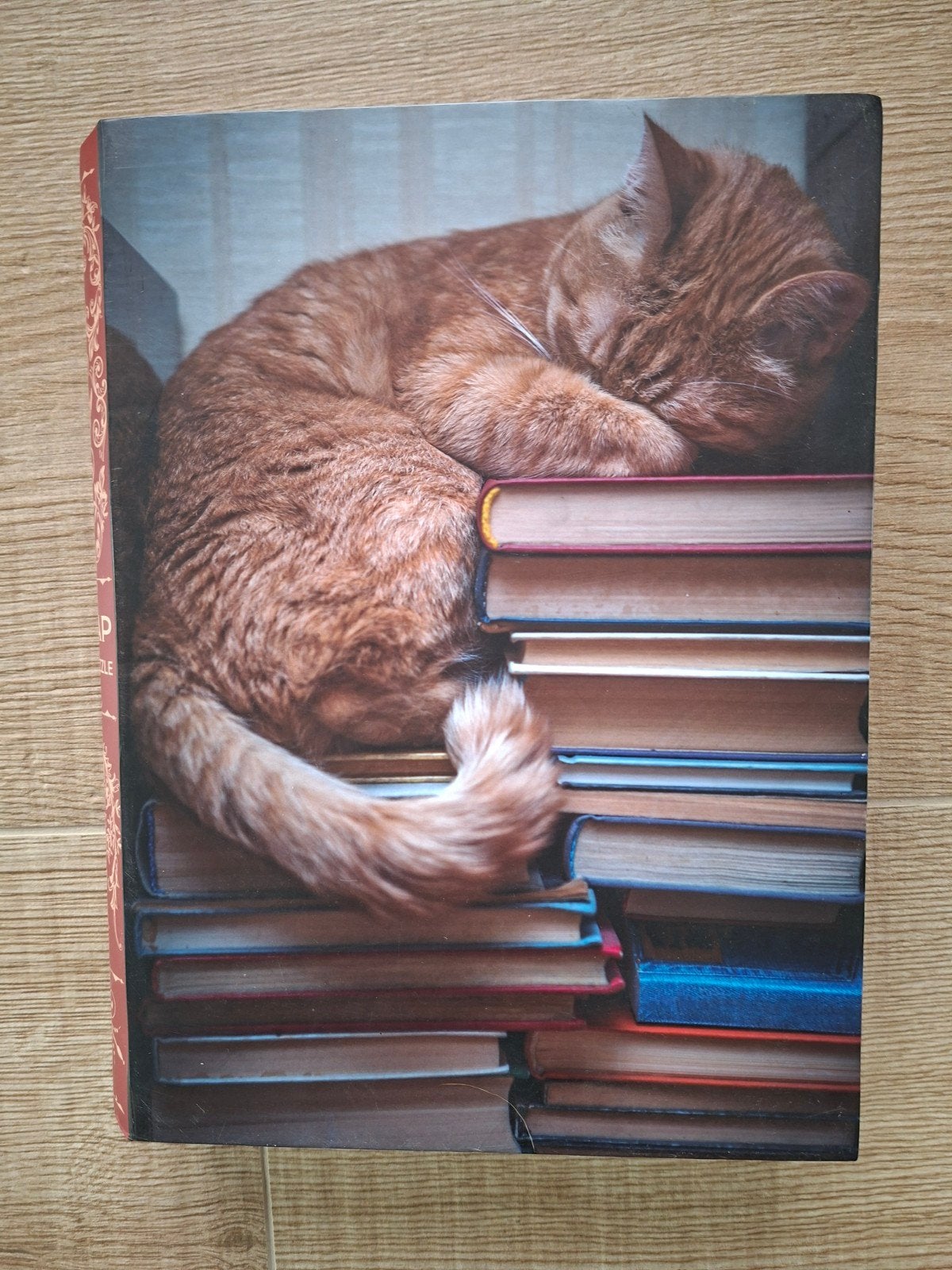 Legpuzzel 1000 stuks Cat Nap, Hobby en Vrije tijd, Denksport en Puzzels, Ophalen of Verzenden, Legpuzzel