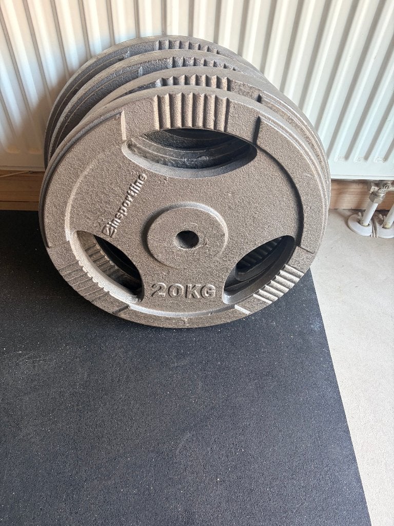 halterschijven (4 x 20 kg), Sport en Fitness, Fitnessmaterialen, Ophalen, Armen, Halterschijven