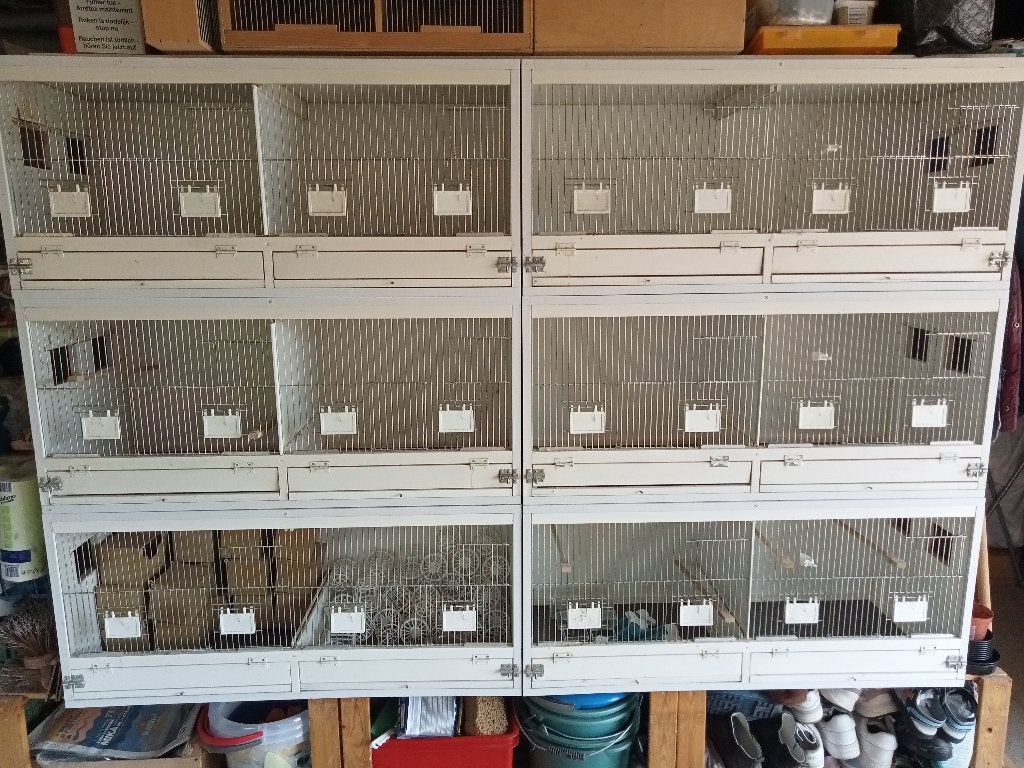 kweekkooien, Animaux & Accessoires, Oiseaux | Cages & Volières, Enlèvement