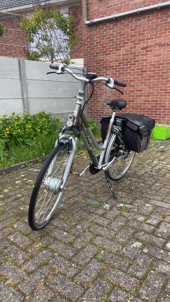 Elektrische fiets Giant Twist, Fietsen en Brommers, Elektrische fietsen, Zo goed als nieuw, Cortina, Ophalen