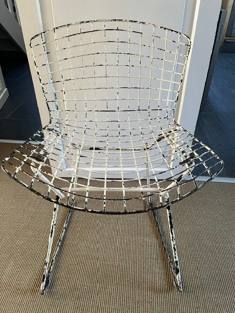 Série de chaises Harry Bertoia vintage, Enlèvement, Métal, Une
