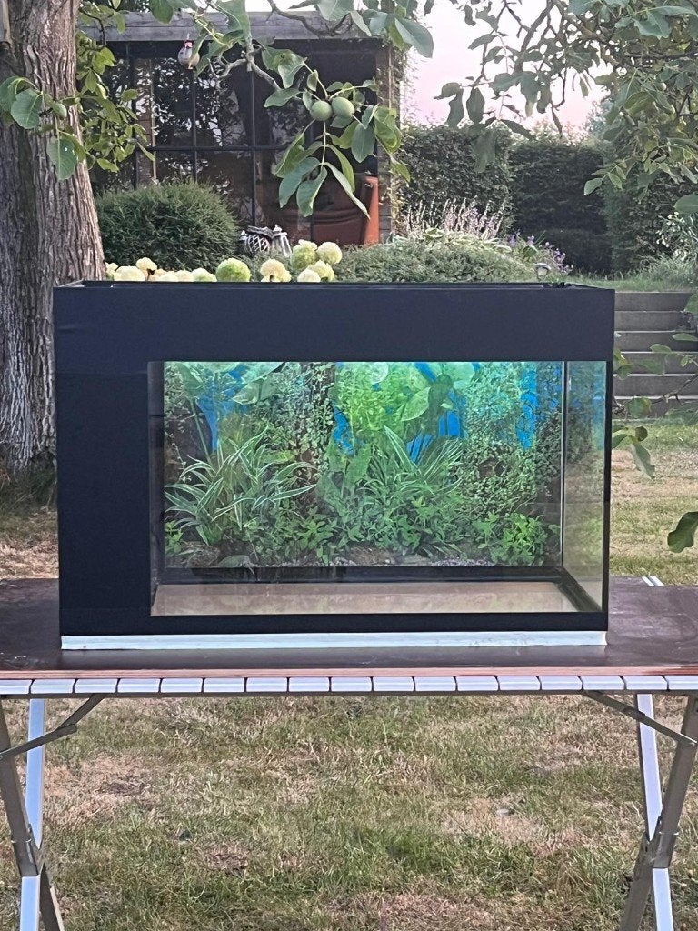 Aquarium, Ophalen, Inclusief toebehoren, Gebruikt, Leeg aquarium
