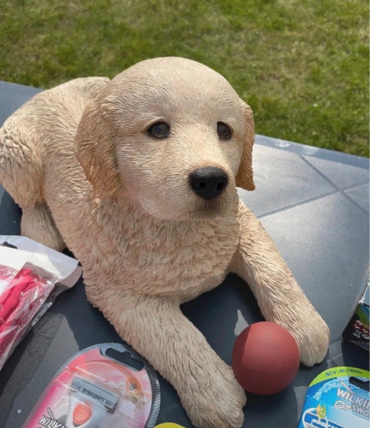 Beeld golden retriever beelden, Ophalen