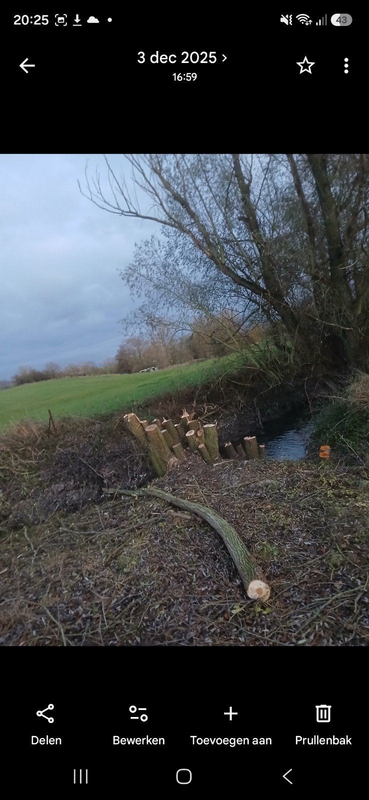knotwilgen en bomen, Ophalen of Verzenden