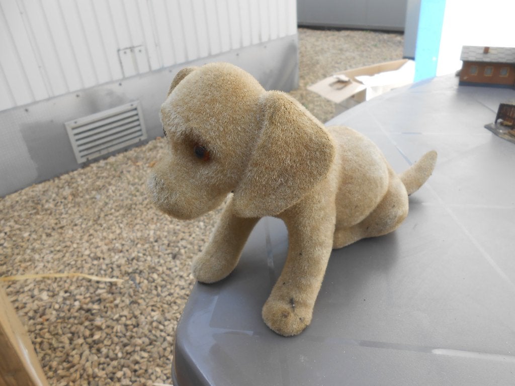 dachebord hond, Ophalen of Verzenden