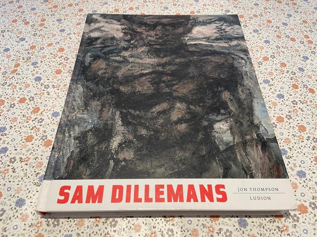 Sam Dillemans - Ludion (Jon Thompson), Livres, Art & Culture | Arts plastiques, Comme neuf, Enlèvement ou Envoi