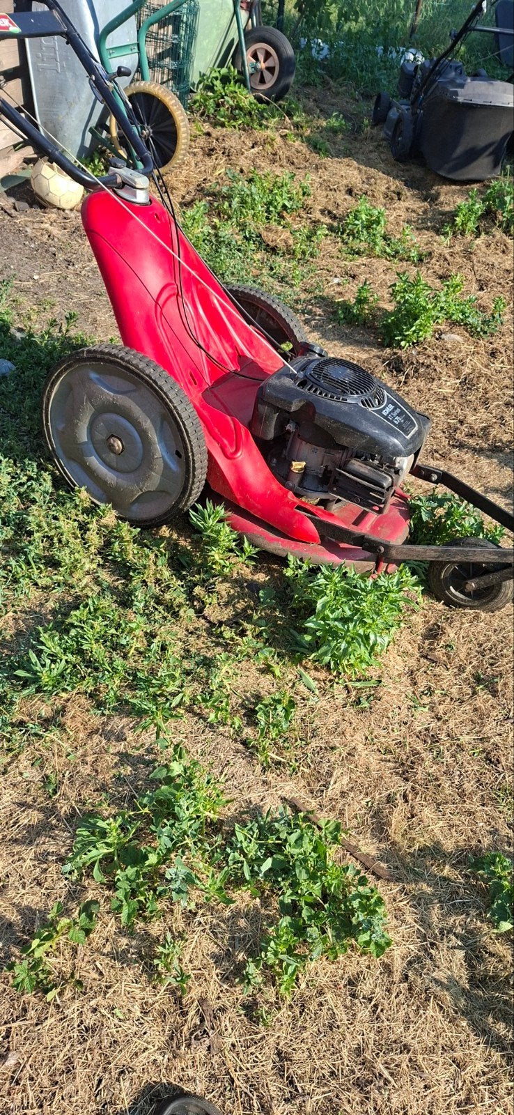 tondeuse debroussailleuse lazer, Lazer, Tondeuse rotative, Tondeuses à gazon à essence, Utilisé