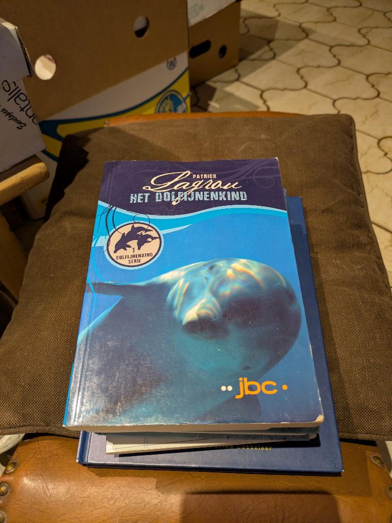 Het dolfijnenkind, Boeken, Gelezen, Patrick Lagrou, Ophalen of Verzenden, Fictie