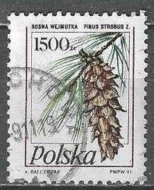 Pologne 1991 - Yvert 3118 - Pine Cones (ST), Envoi, Pologne, Affranchi