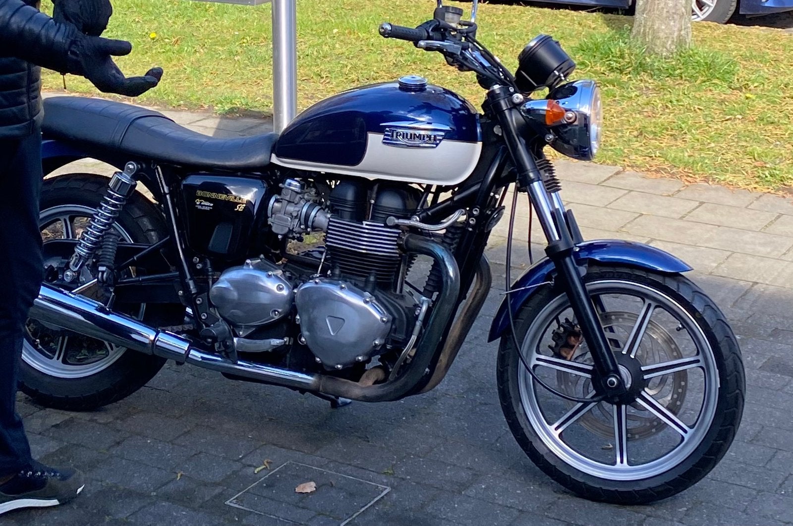 Édition spéciale Triumph Bonneville T900, Motos, Motos | Oldtimers & Ancêtres, Naked bike, plus de 35 kW, 2 cylindres, Manuelle