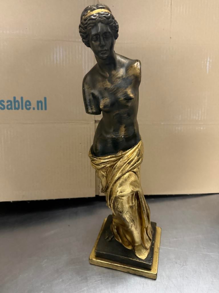 Venus van milo, Ophalen