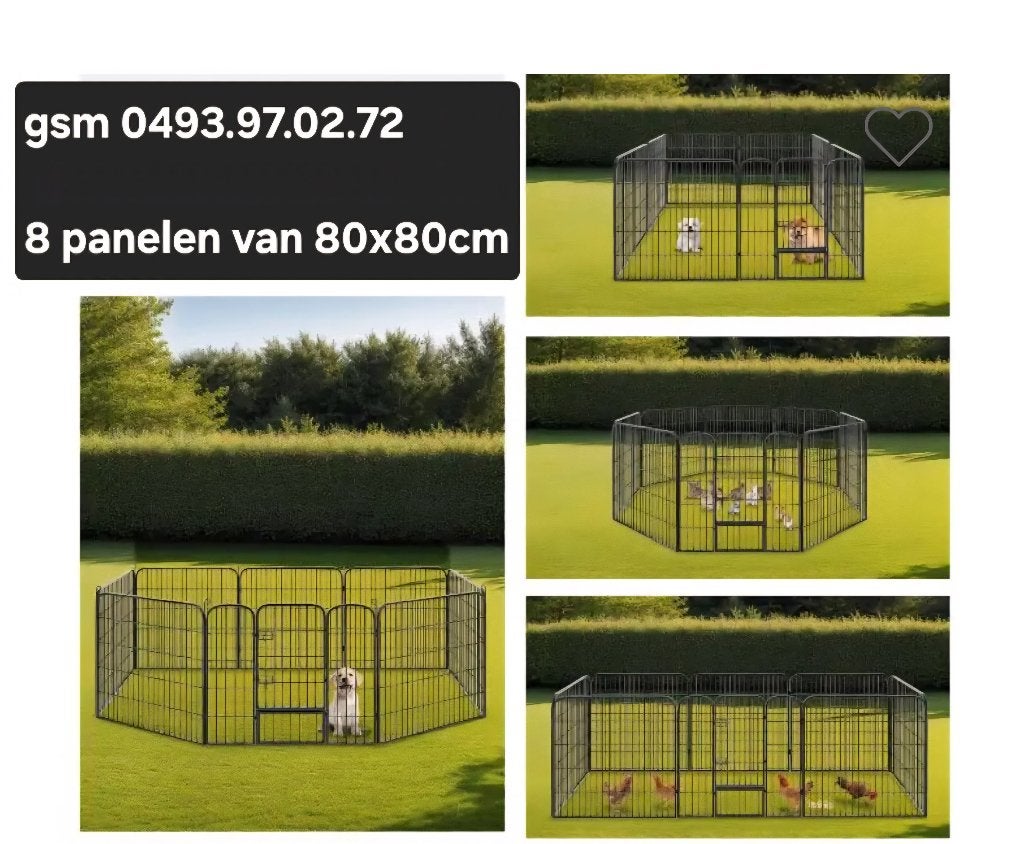 hondenren-puppyren nieuw in de doos, Ophalen, Nieuw