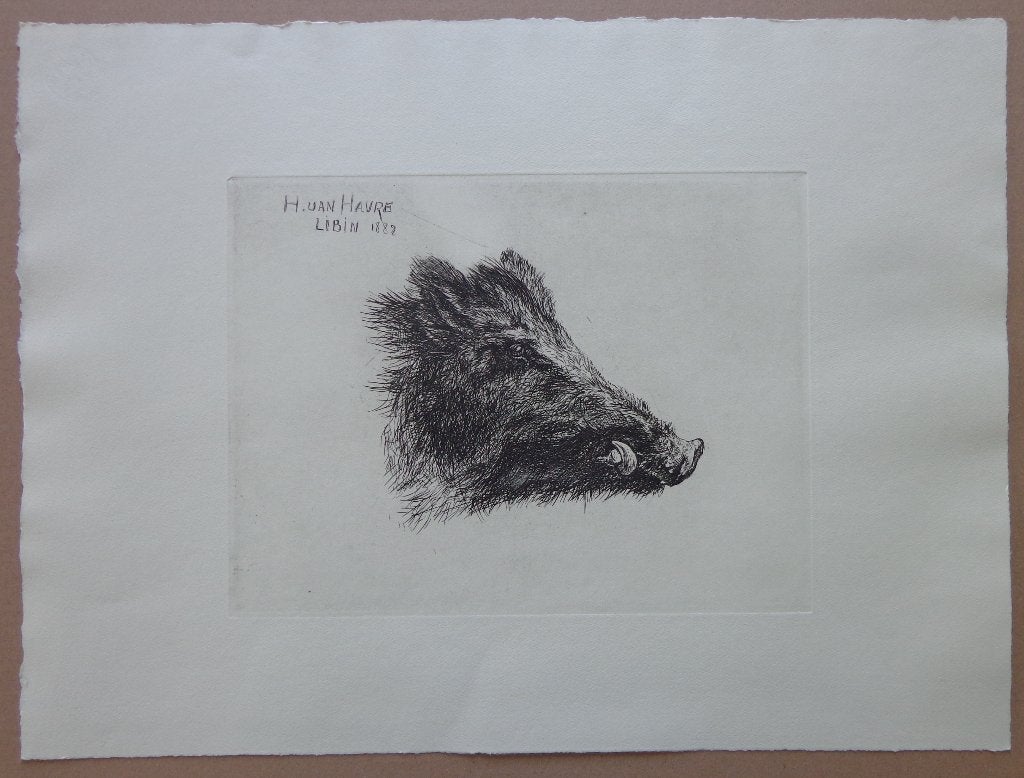H. VAN HAVRE / EVERZWIJN / ZW-W ETS / 40x53cm / LIBIN, Antiquités & Art, Art | Lithographies & Sérigraphies, Enlèvement ou Envoi