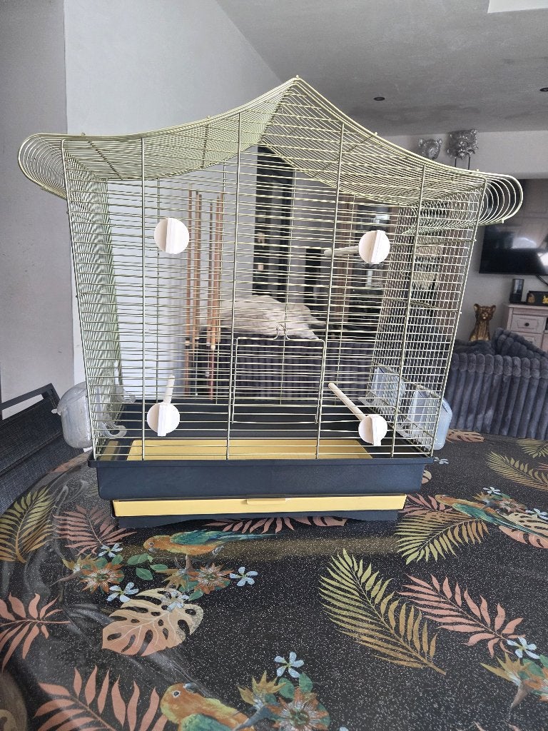 Grande Cage à oiseau doré, Animaux & Accessoires, Enlèvement, Comme neuf