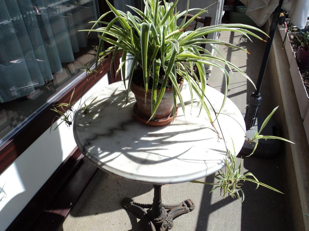 tuintafel, Tuin en Terras, Ophalen, Zo goed als nieuw, Rond, Overige materialen