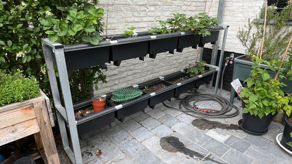 Gegalvaniseerd Rek voor aardbeien incl. 10 BATO bakken, Tuin en Terras, Ophalen, 100 cm of meer, Zo goed als nieuw, Metaal