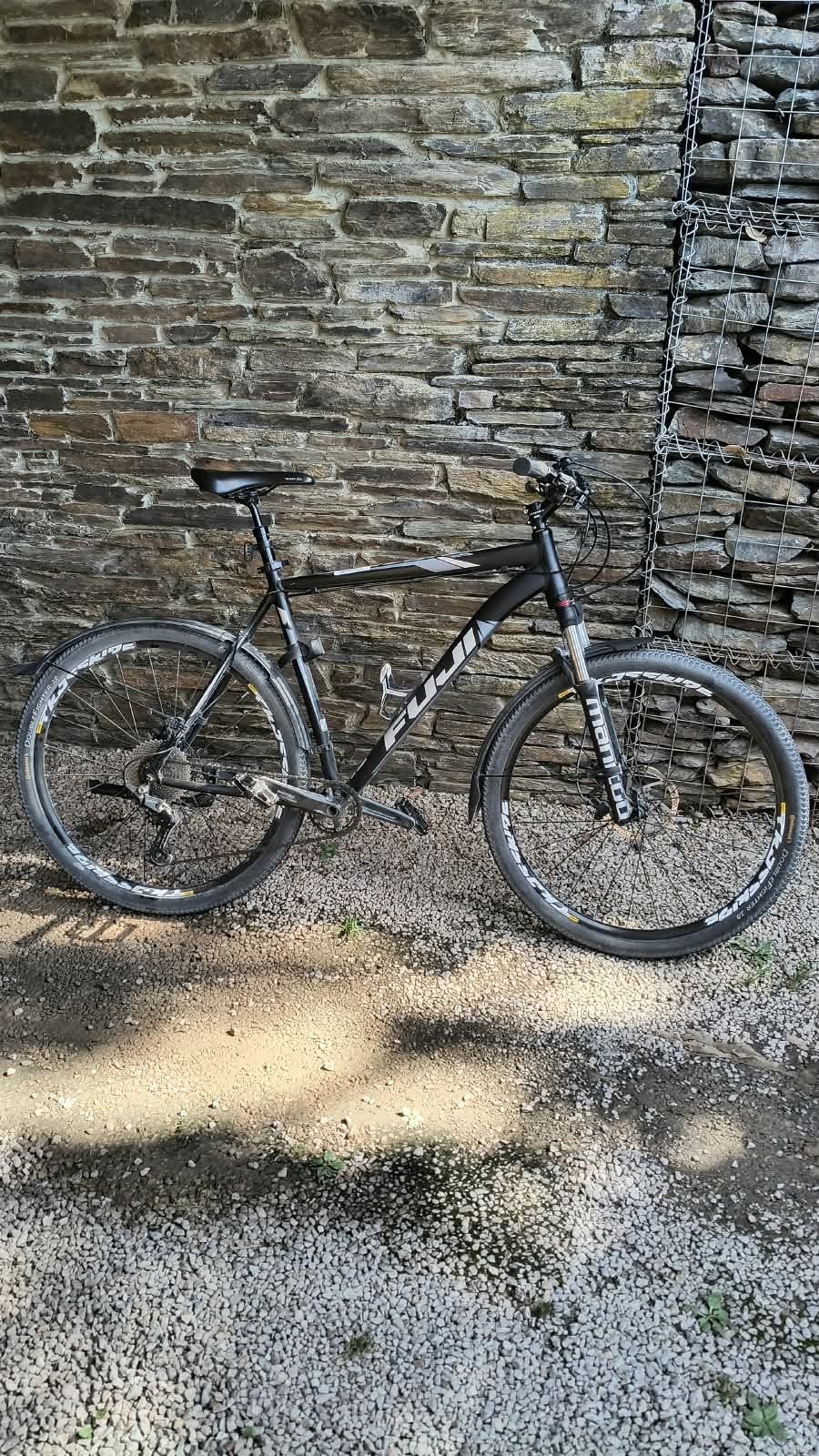 VTT Fuji 29 pouces, Autres marques, Enlèvement, Utilisé, Hommes