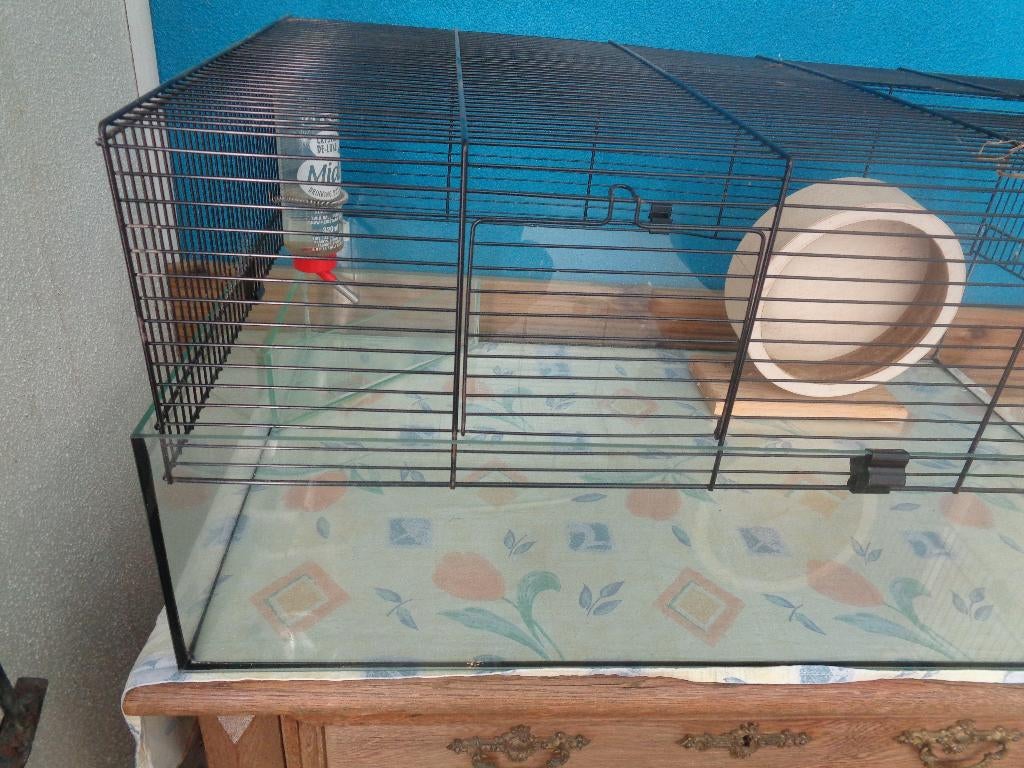 Knaagdieren kooi met glazen bak 78,547,535 cm., Kooi, Hamster, Zo goed als nieuw, 75 tot 110 cm
