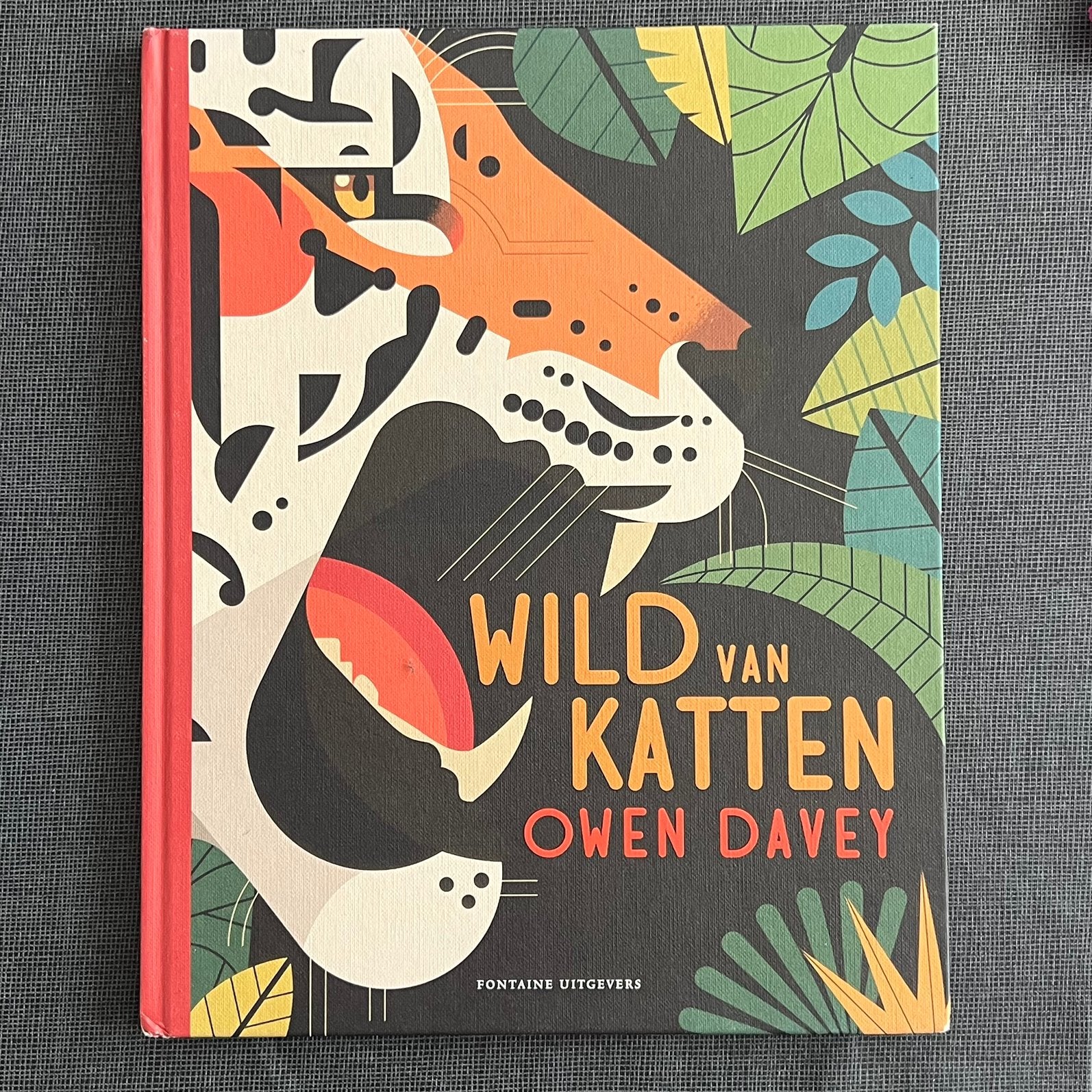 Owen Davey - Wild van katten, Ophalen of Verzenden, Owen Davey