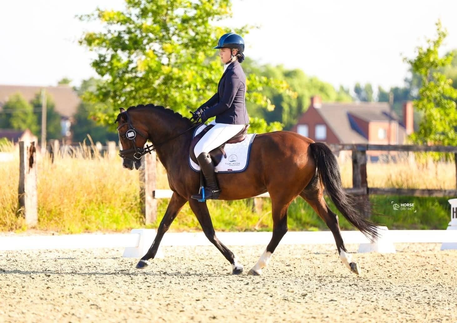 Poney de rêve, M
