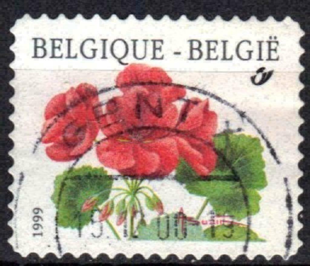 Belgie 1999 - Yvert 2875 - Bloemen - Geranium (ST), Postzegels en Munten, Verzenden, Gestempeld, Gestempeld