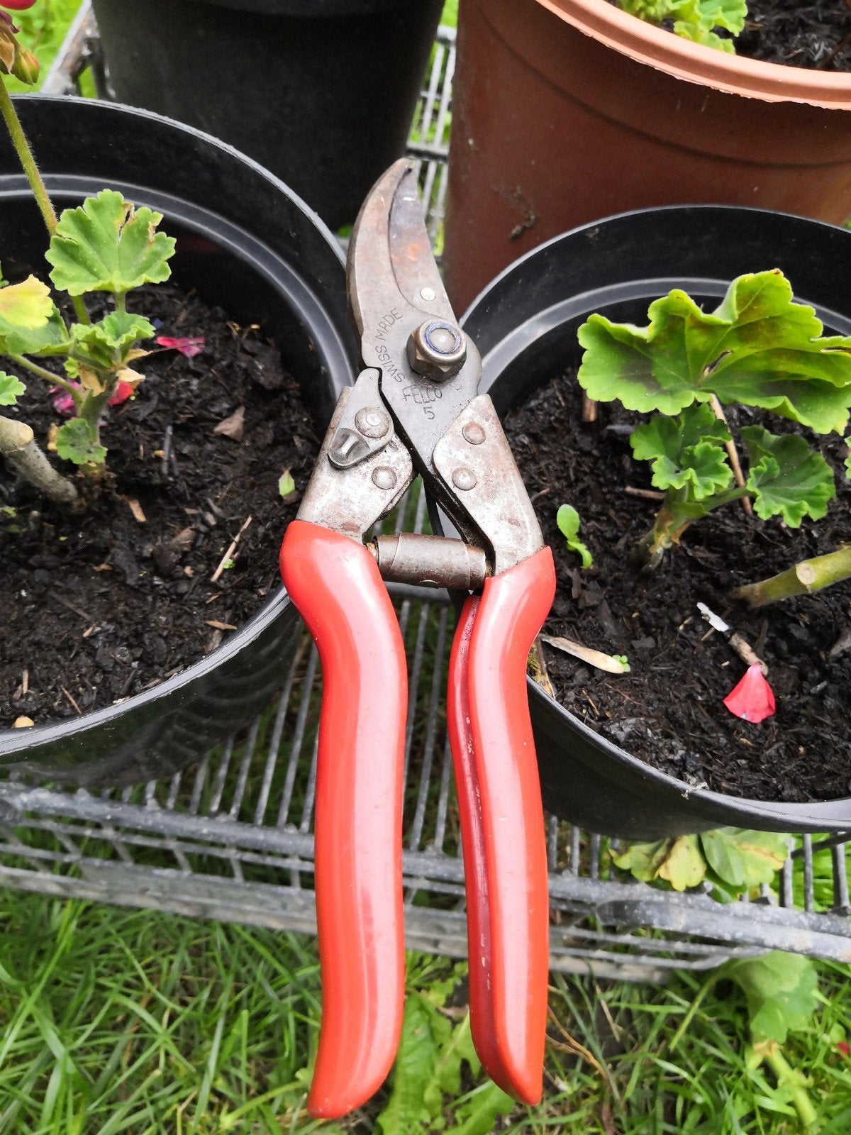 Swiss made FELCO 5, Tuin en Terras, Snoeischaren, Ophalen of Verzenden