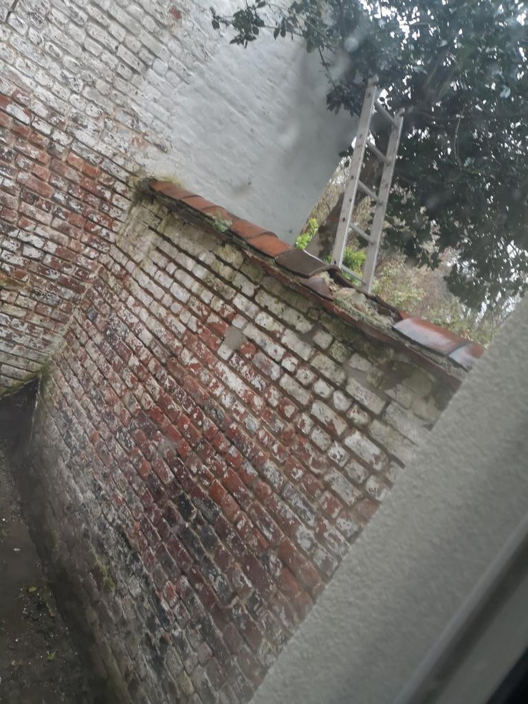 Auvent mural de jardin, je voulais au moins 2 carreaux de 25, Enlèvement