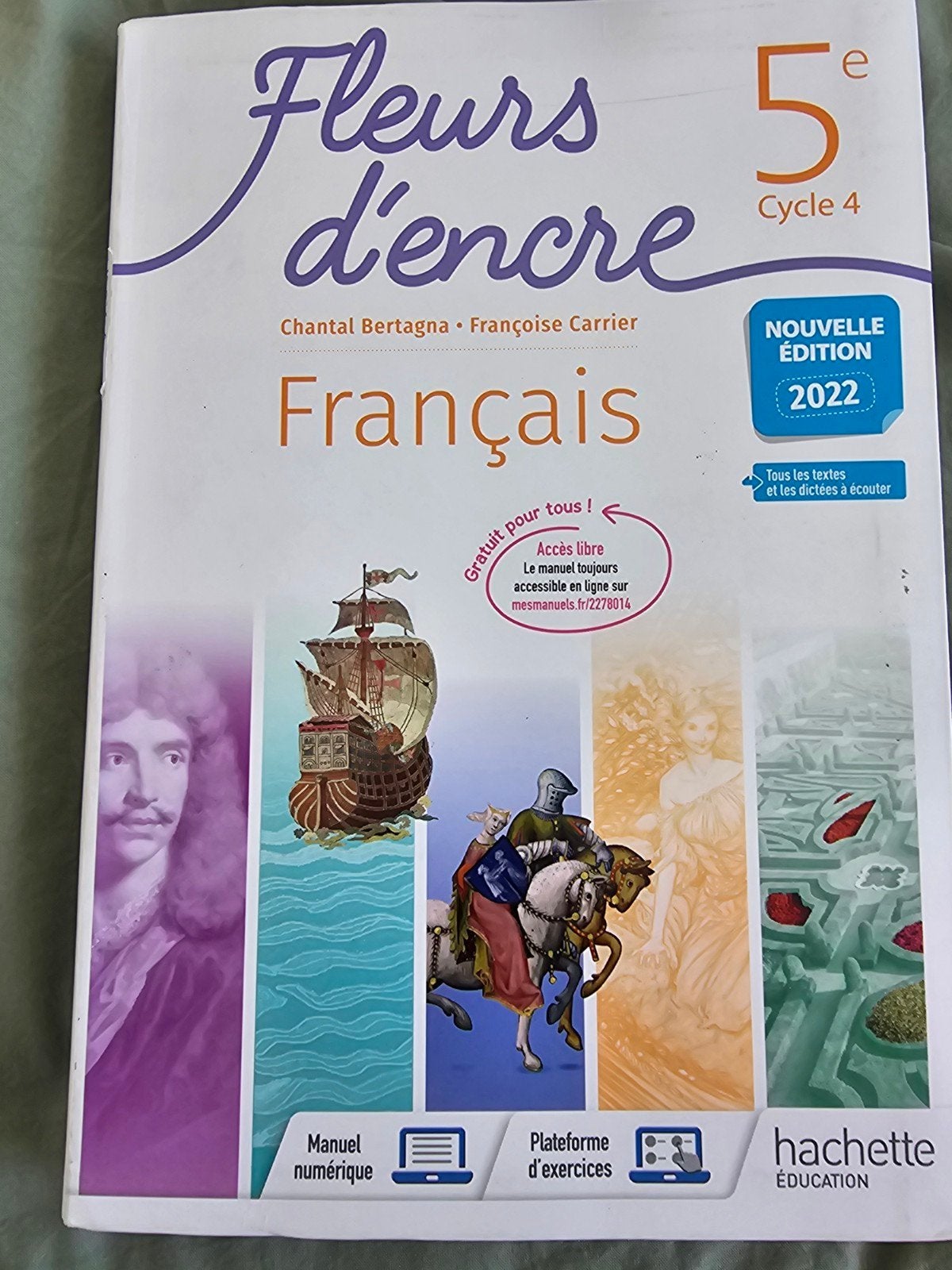 Fleurs d'encre 5e Neuf !, Enlèvement