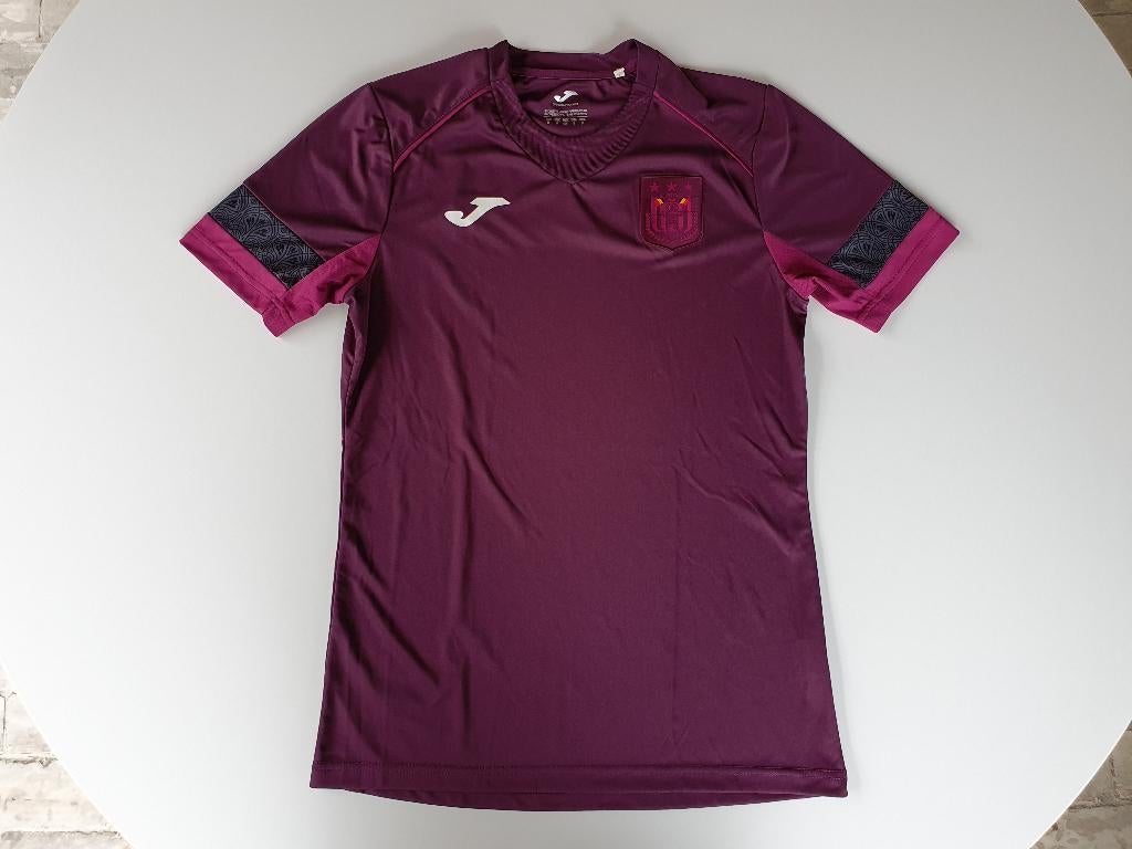 Paars trainingsshirt Anderlecht (Joma, S) (2), Enlèvement ou Envoi, Utilisé, Maillot