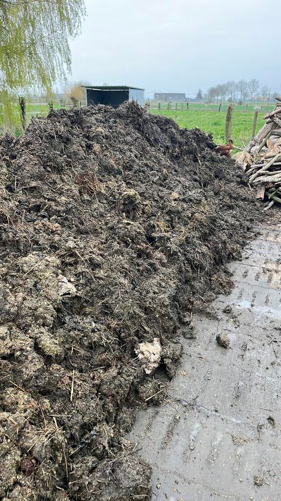Gratis varkensmest, Tuin en Terras, Ophalen, Mest
