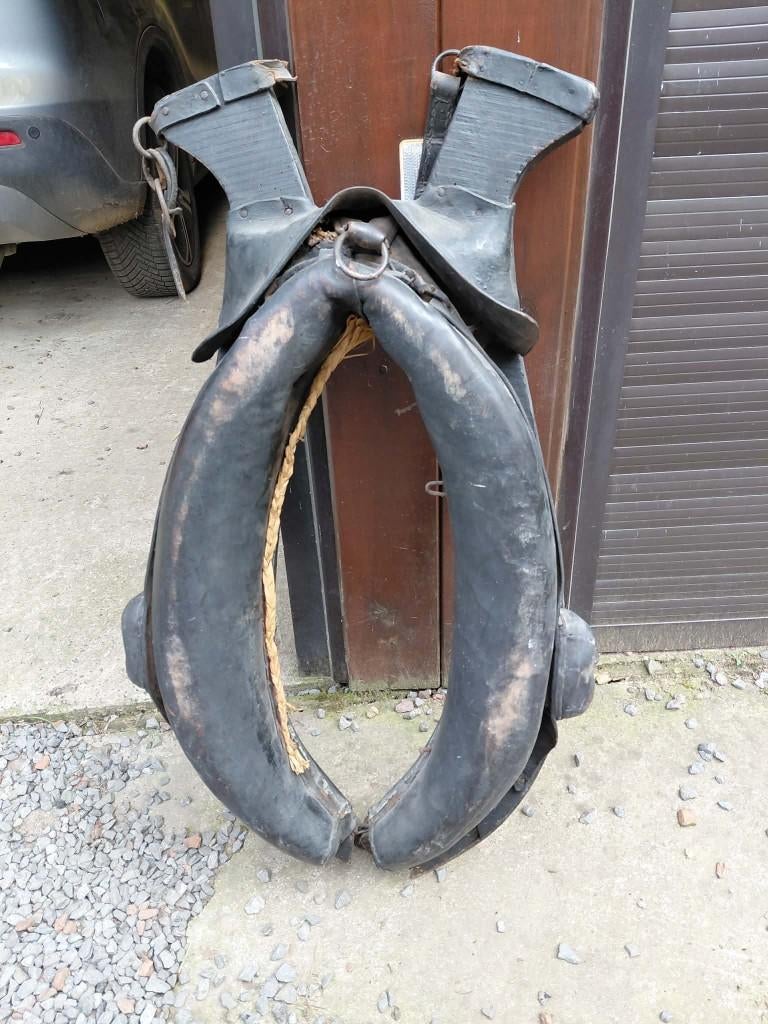 goreau de cheval, Enlèvement