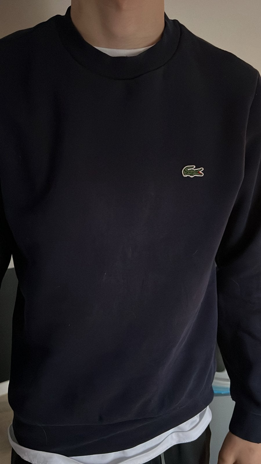 Lacoste trui Maat ( M/S), Vêtements | Hommes, Pulls & Vestes, Enlèvement ou Envoi, Comme neuf, Taille 46 (S) ou plus petite
