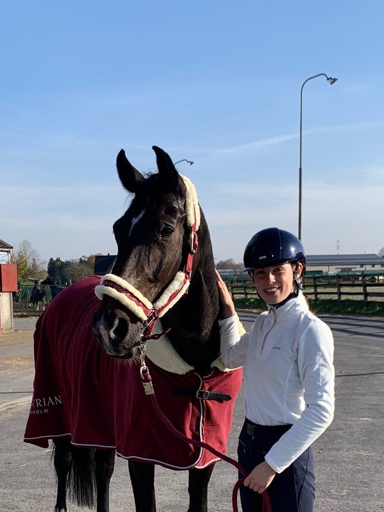 Equestrian Stockholm set - halster + fleece Bordeaux, Full (L), Enlèvement ou Envoi, Equestrian Stockholm, Couverture