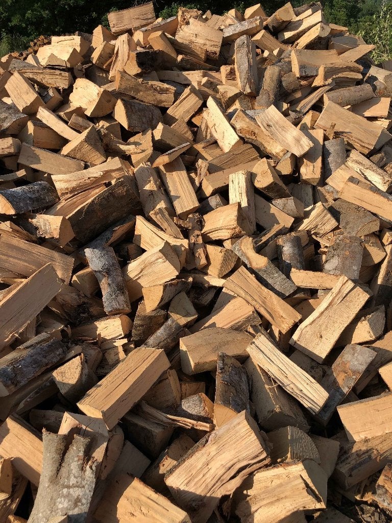 Hêtre, Jardin & Terrasse, Enlèvement ou Envoi, Hêtre