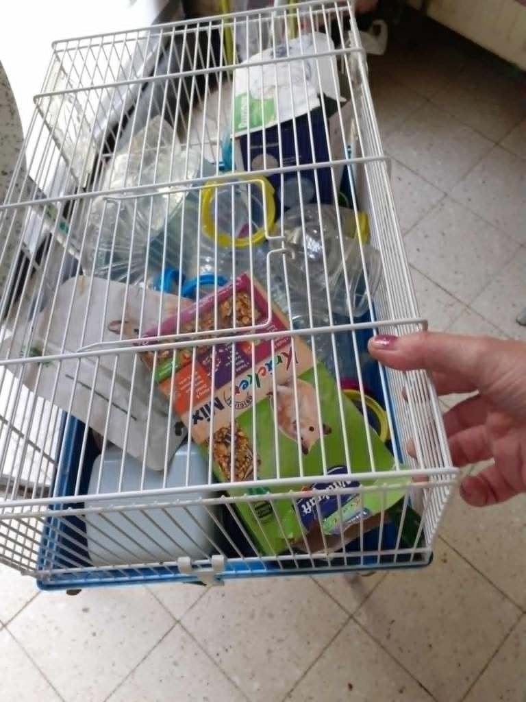 cage pour petits rongeurs, Ophalen, Kooi