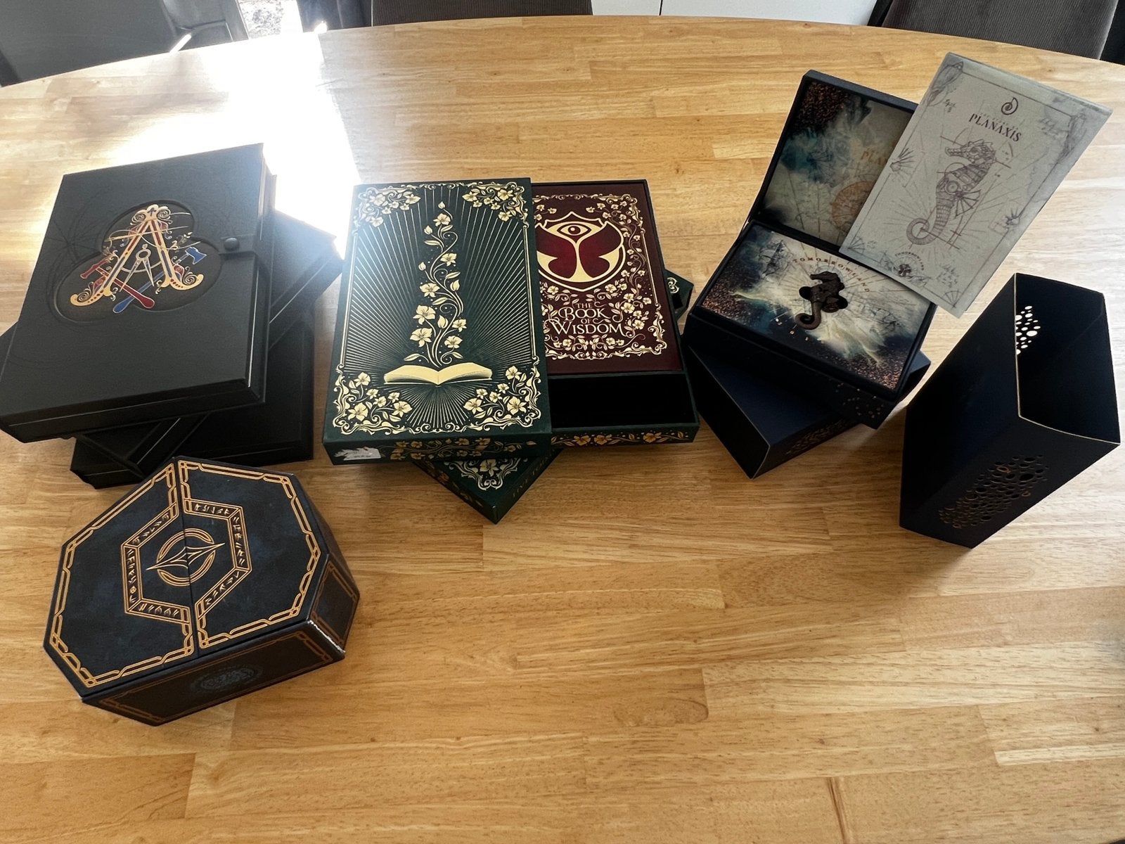 Tomorrowland treasure cases zonder bandjes
