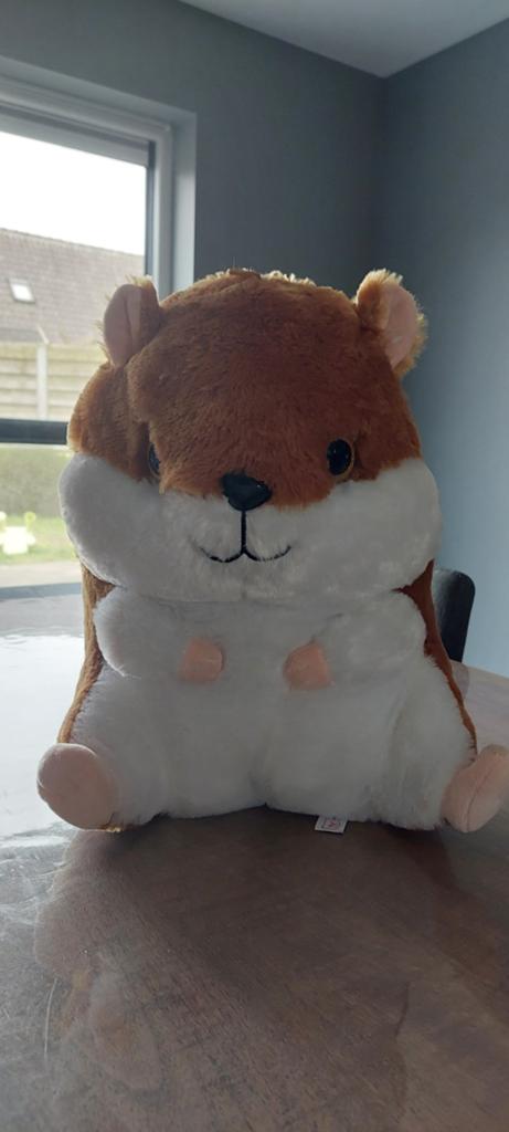 Knuffel HAMSTER, Enlèvement