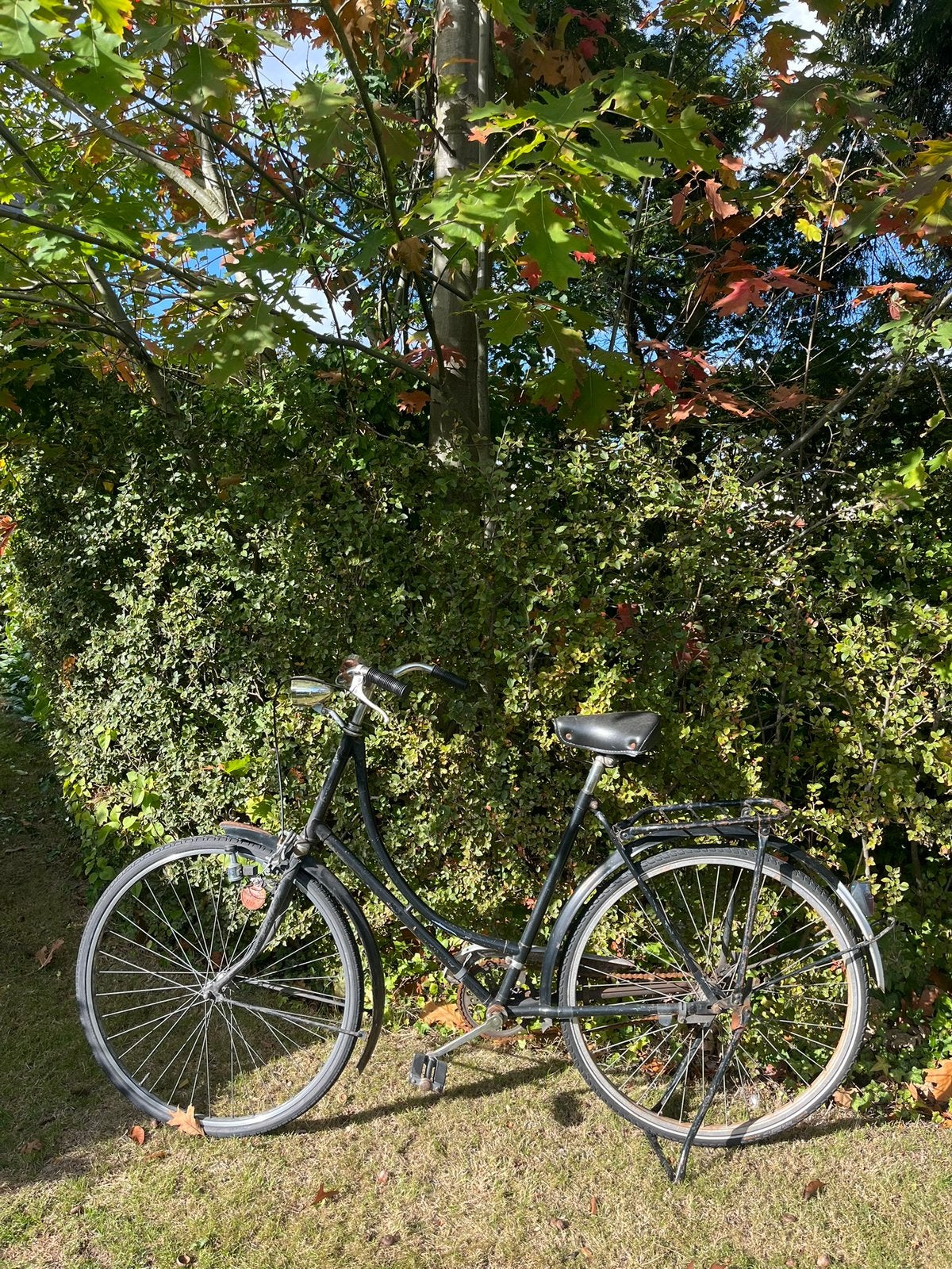 Retro fiets zwart, Ophalen