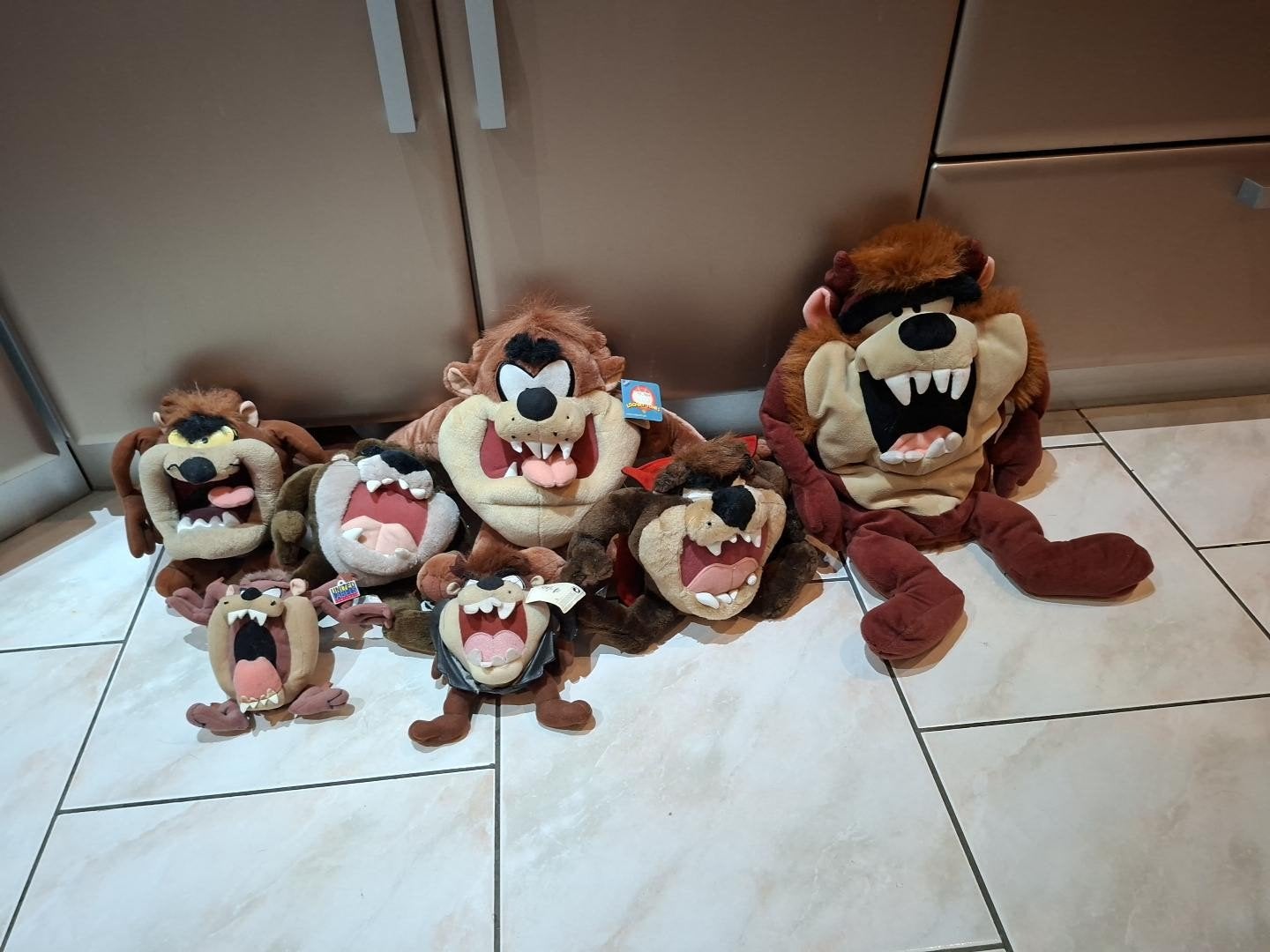 lot peluche taz, Enlèvement