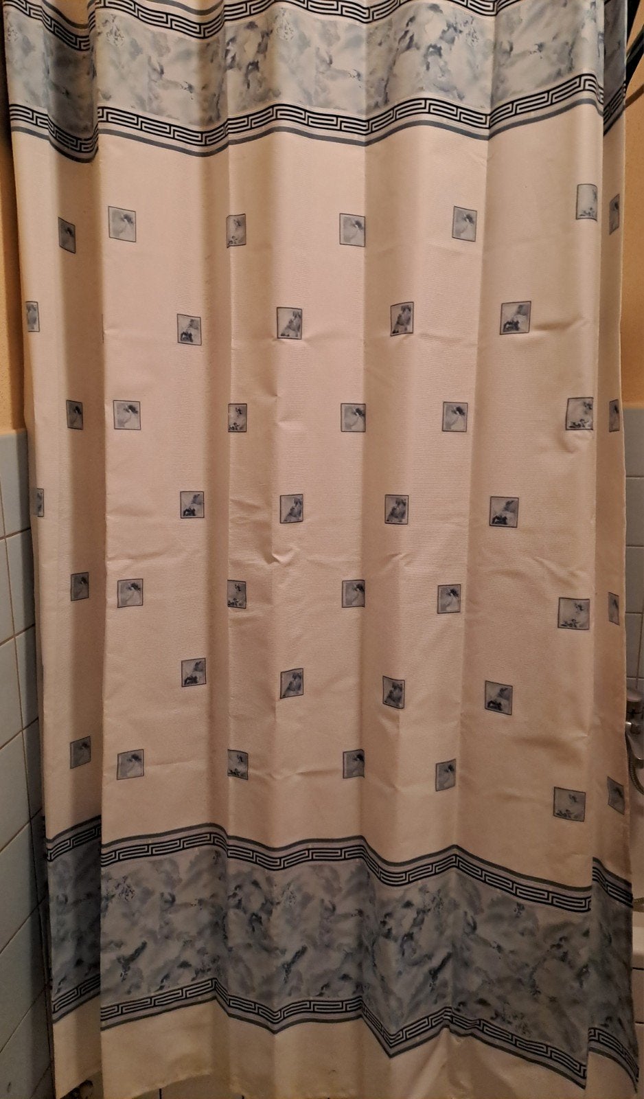 Rideau de douche, Rideau