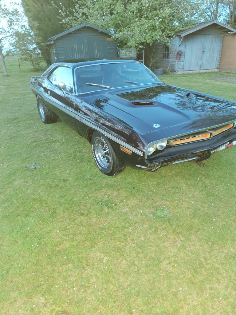 Dodge Challenger R/T 1971, Autos, Dodge, Particulier, Challenger, Essence, Coupé, 2 portes, Automatique, Autres couleurs, Noir